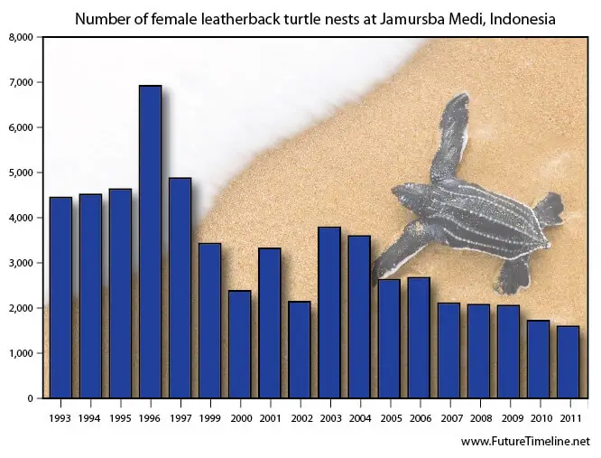 leatherback sea turtle population graph 2012 2013 2014 2015 future