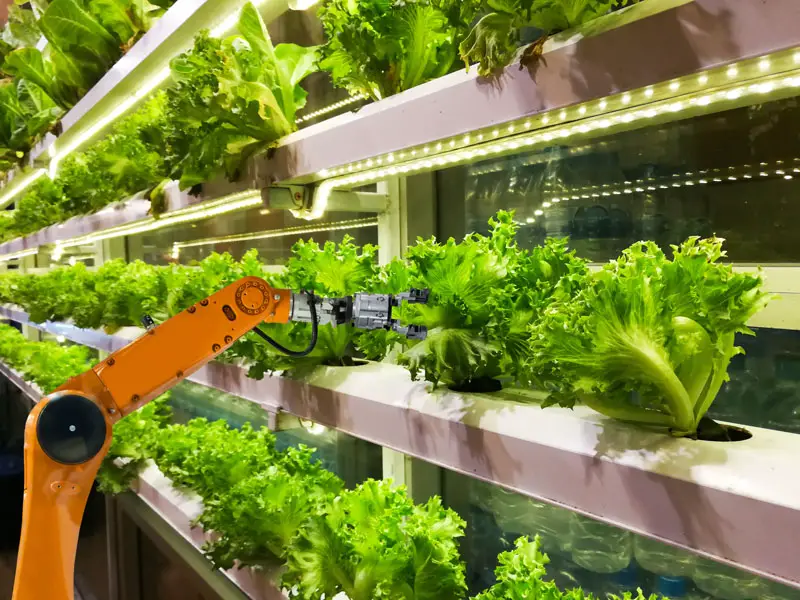 vertical farming technology future