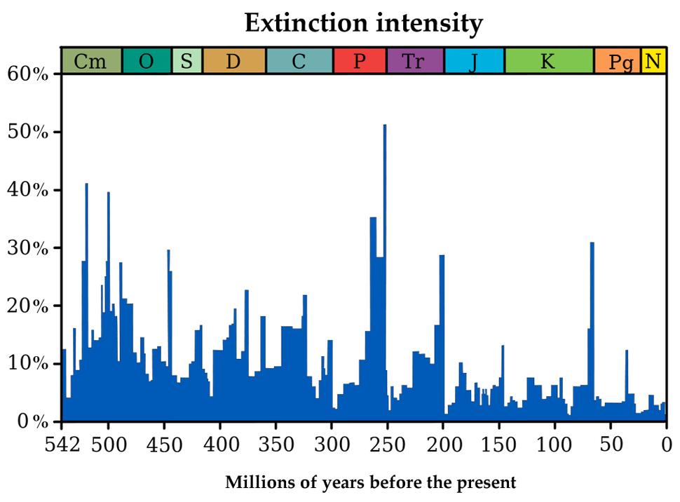 mass extinctions