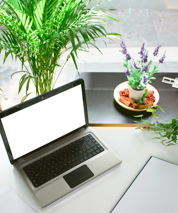 office desk with plants