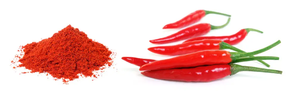 spicy foods longevity 2015 science health