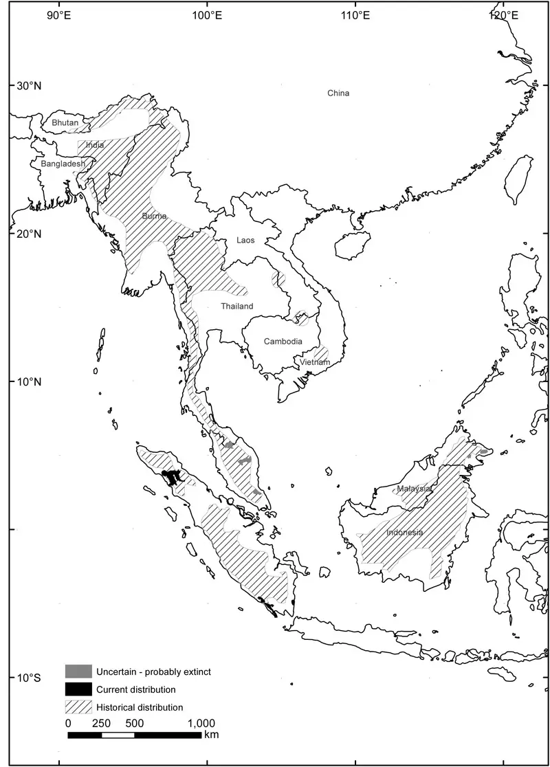 sumatran rhino historical range map