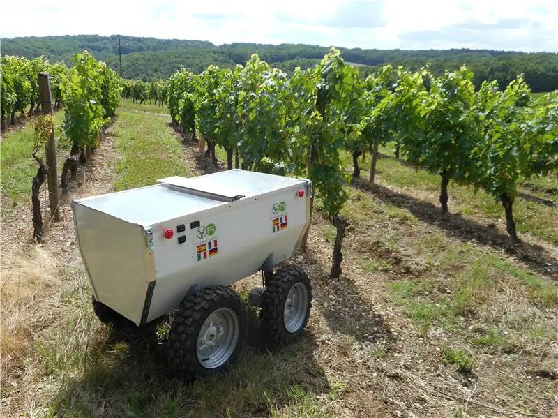 robot vineyard