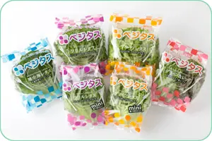 japan kyoto spread automated lettuce factor 2016 2017