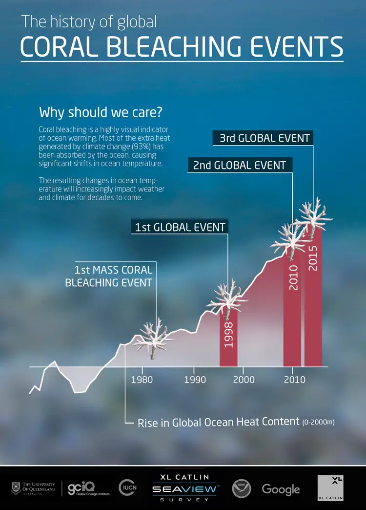 global coral bleaching 2015