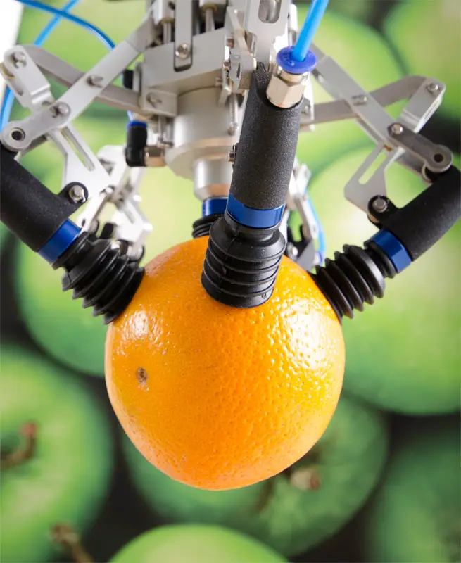 robot picking fruit