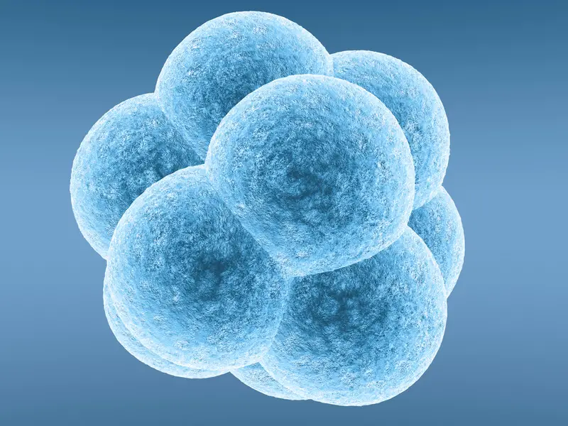 china human embryos designer babies 2015
