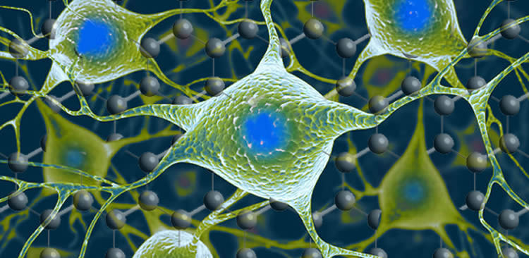 graphene nerve cells brain implants future technology