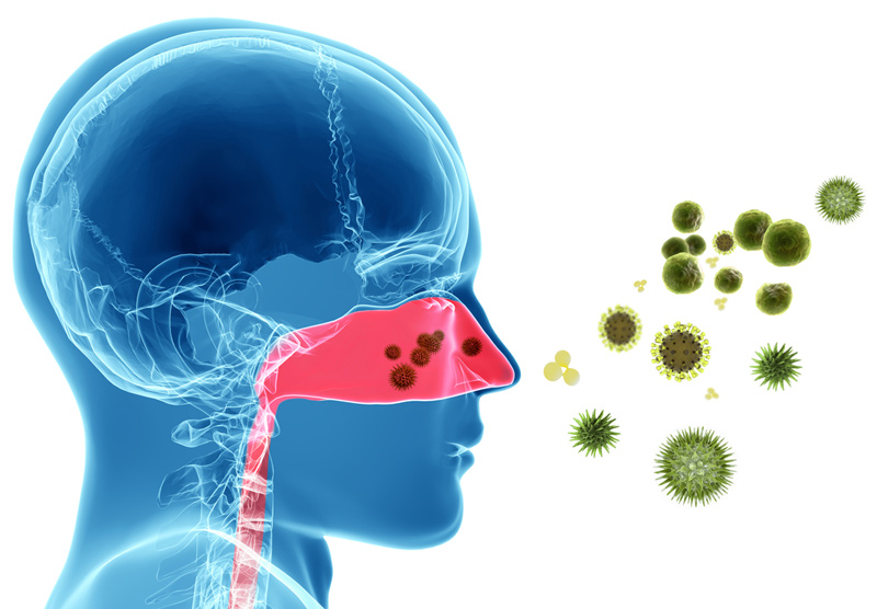 new antibiotic from human nose