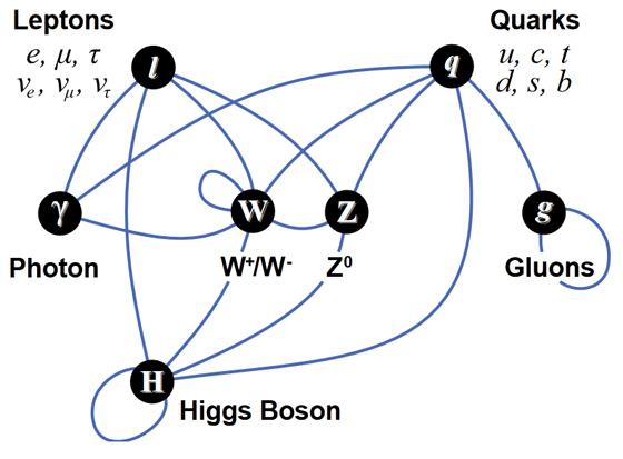 standard model