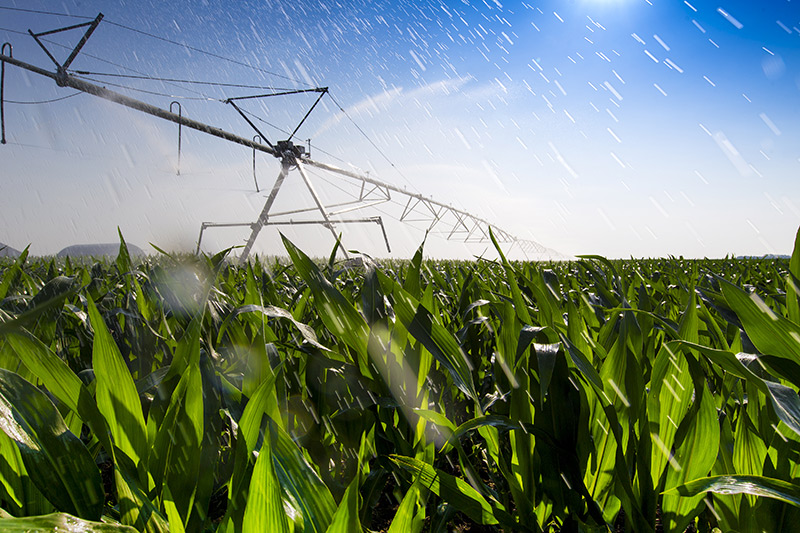 food crops climate change