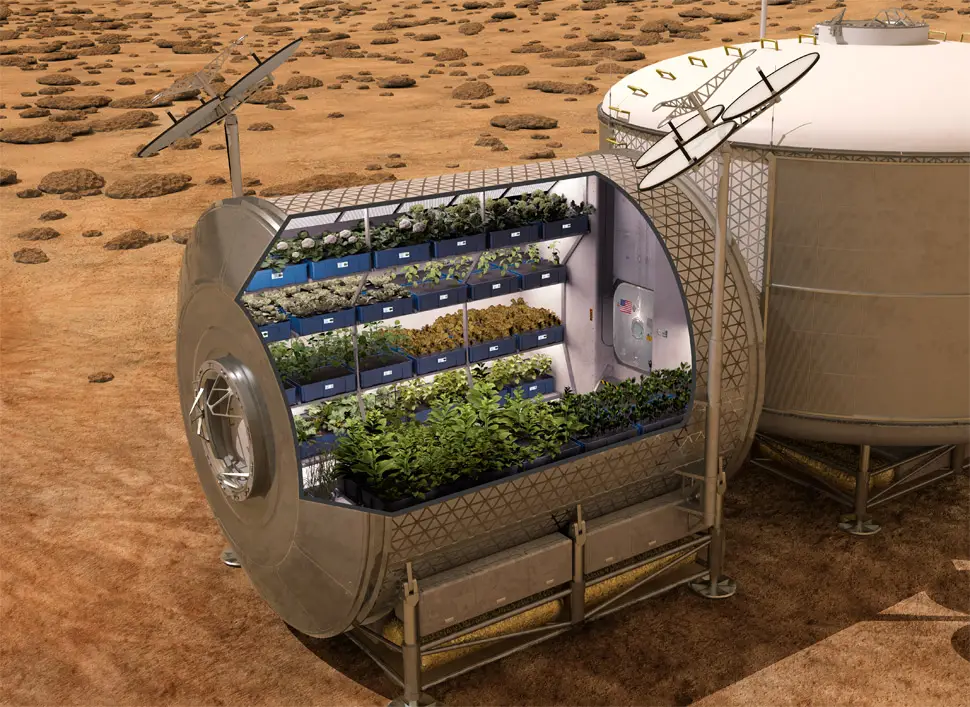 growing food in space on mars future timeline