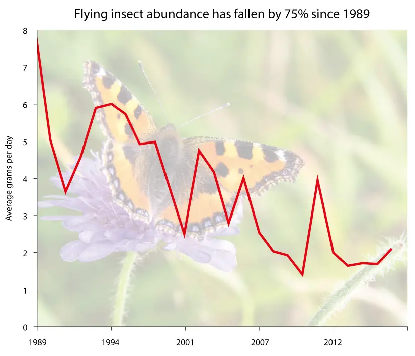 insect biomass decline trend