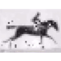future timeline logo 200px