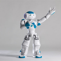 nao robot writing