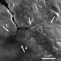 self healing battery
