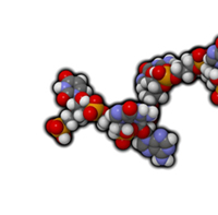 micro rna