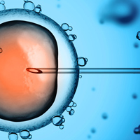 stem cells