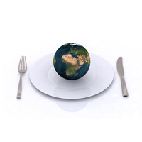 world food