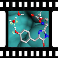 molecular movies