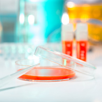 hiv blood human cell culture