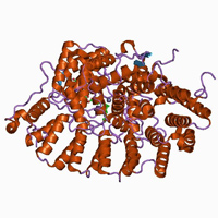ras protein