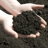 topsoil