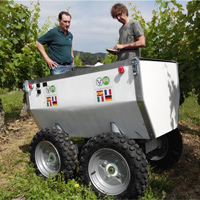 vineyard robot