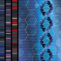 human genomes