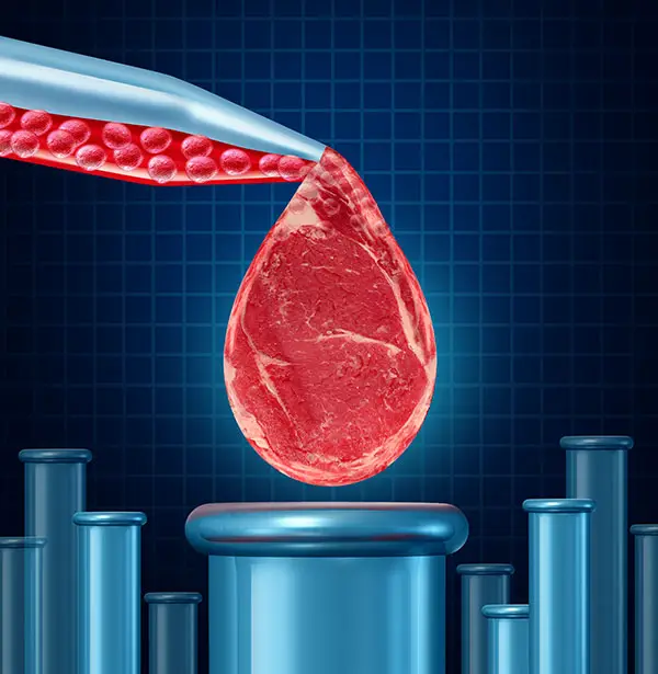 cultured meat future food 2050 2100