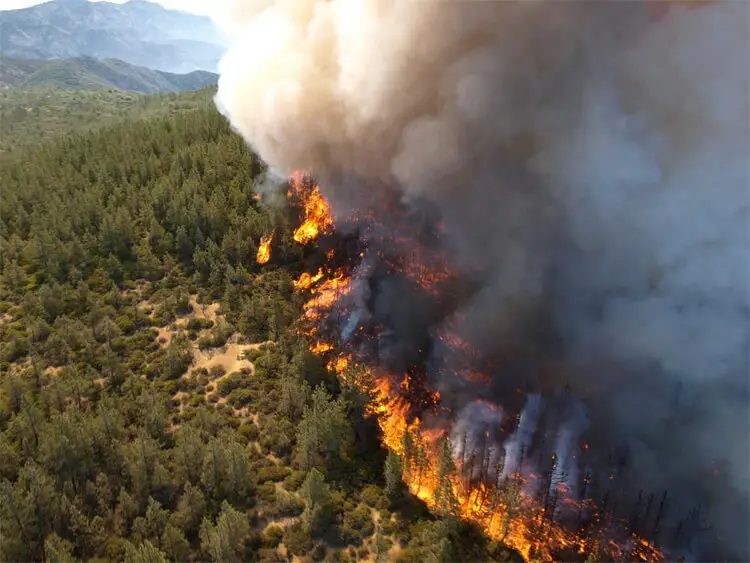 forest fire california climate change insurance crisis future timeline