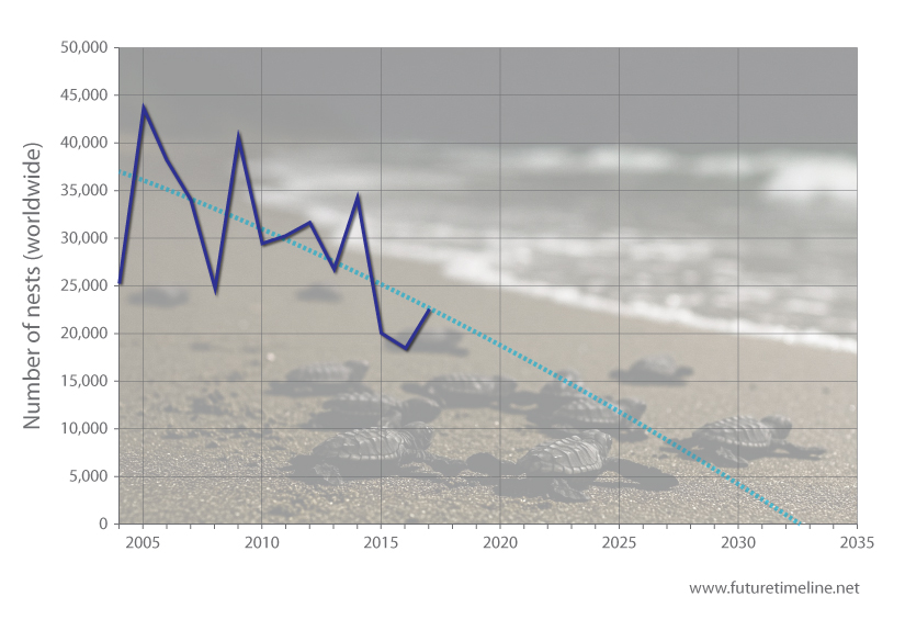 leatherback sea turtle population graph