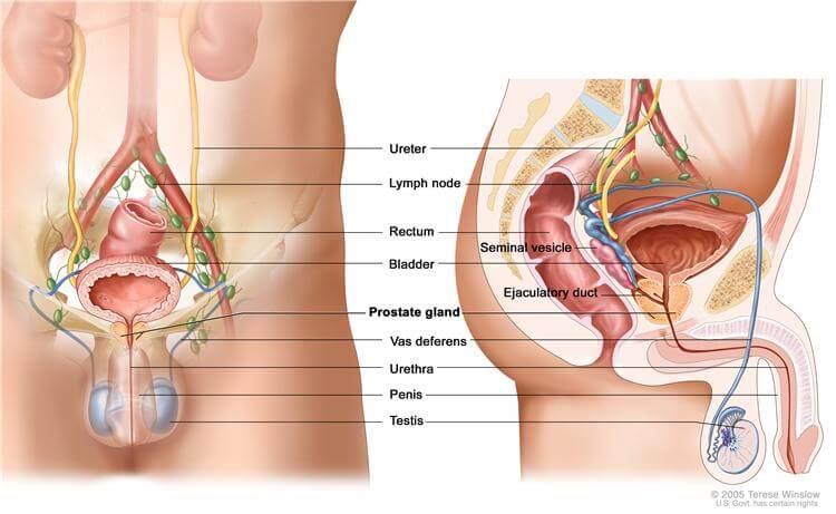 prostate cancer breakthrough 2012