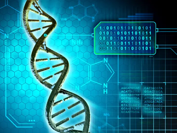 synthetic human genome 2026 2025