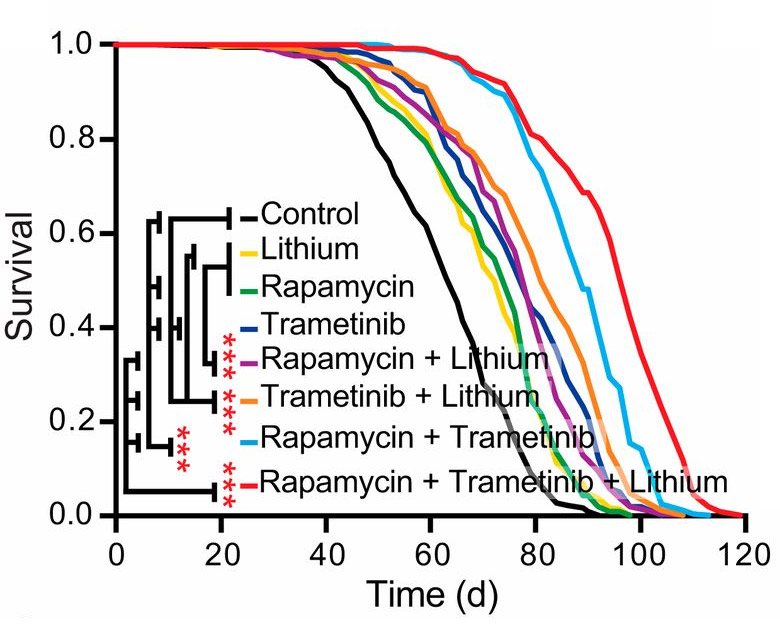 aging cure drugs future timeline