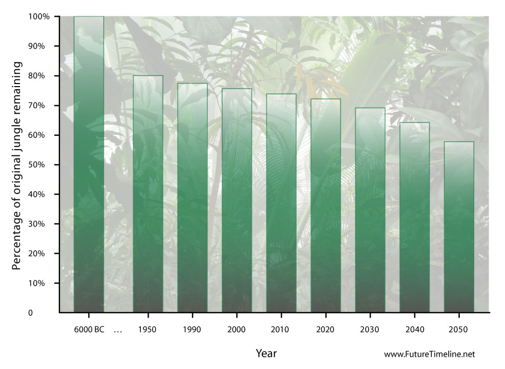 congo deforestation future trend