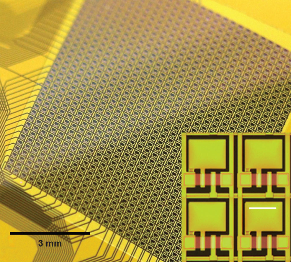 brain implant technology future timeline