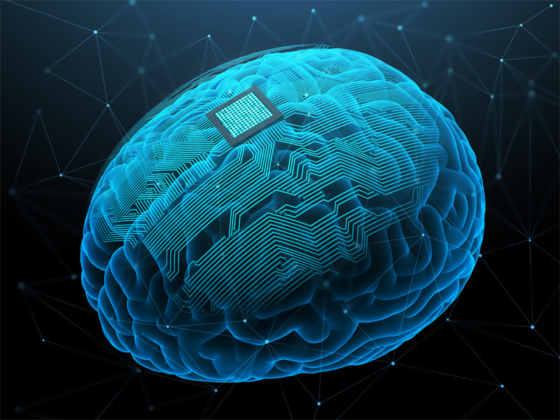 brain stem cells AI future