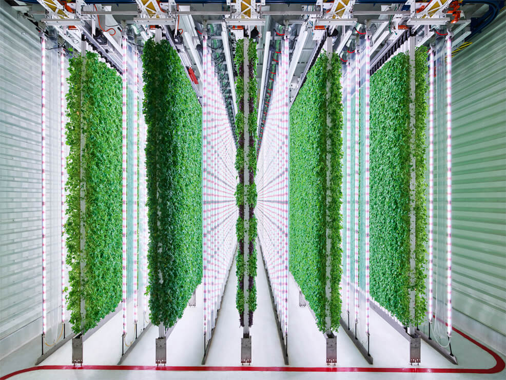 vertical farm future timeline