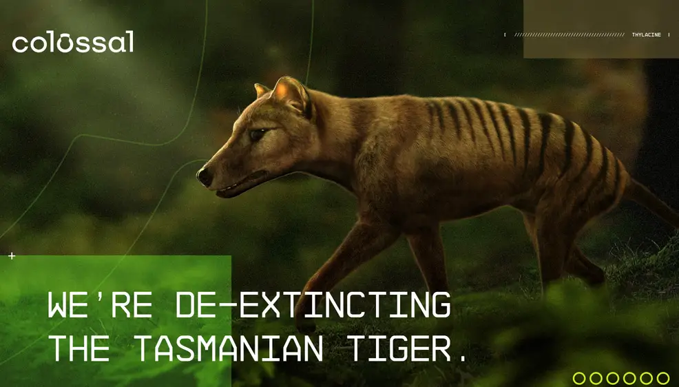Tasmanian tiger genome offers clues to its extinction