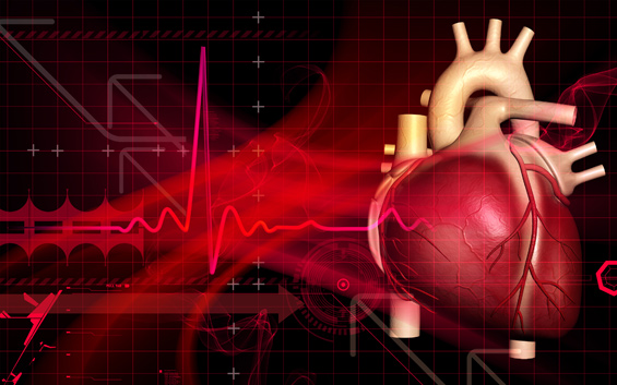 heart