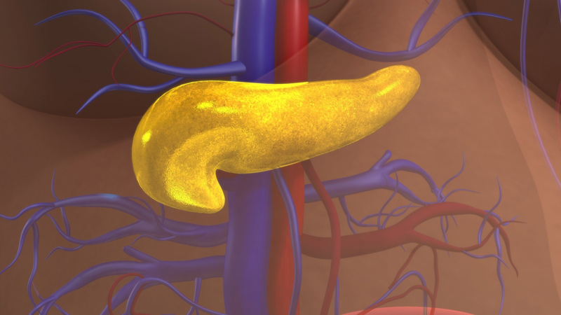 pancreas breakthrough 2016