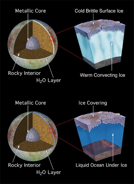 europa models