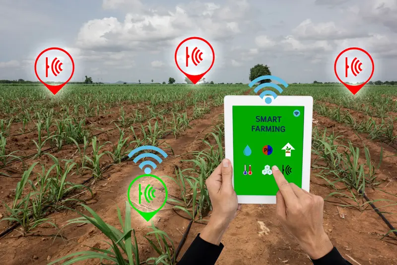 internet of things agriculture
