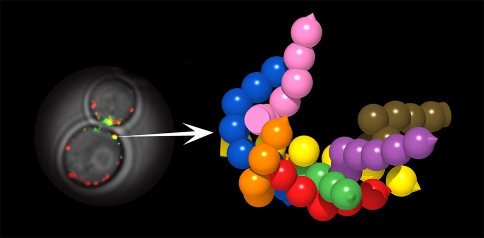 nanomachines future timeline nanotechnology