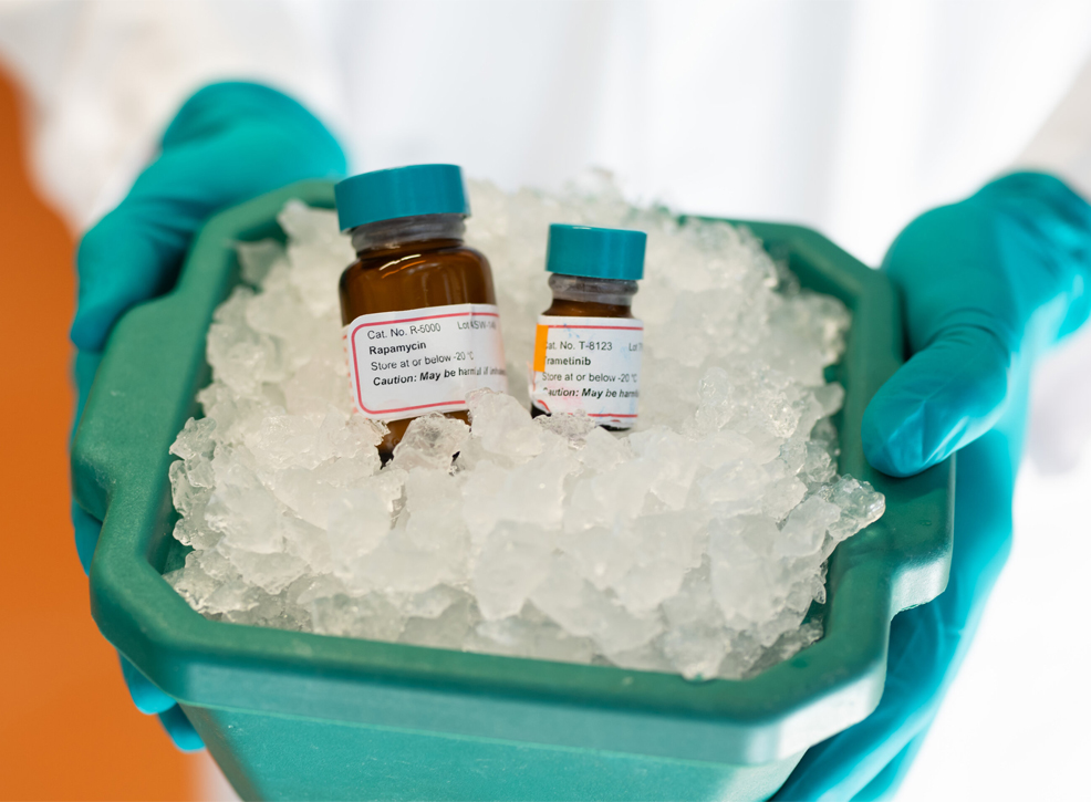 anti-aging drugs future timeline