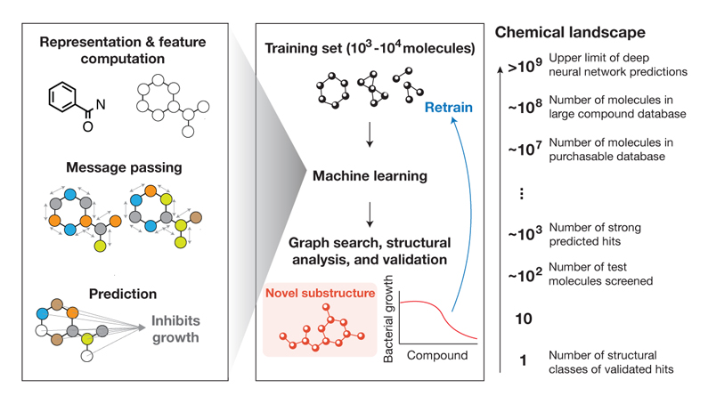 antibiotics deep learning 2024