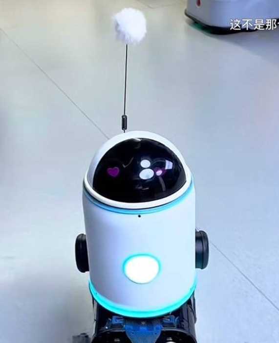 erbai robot china