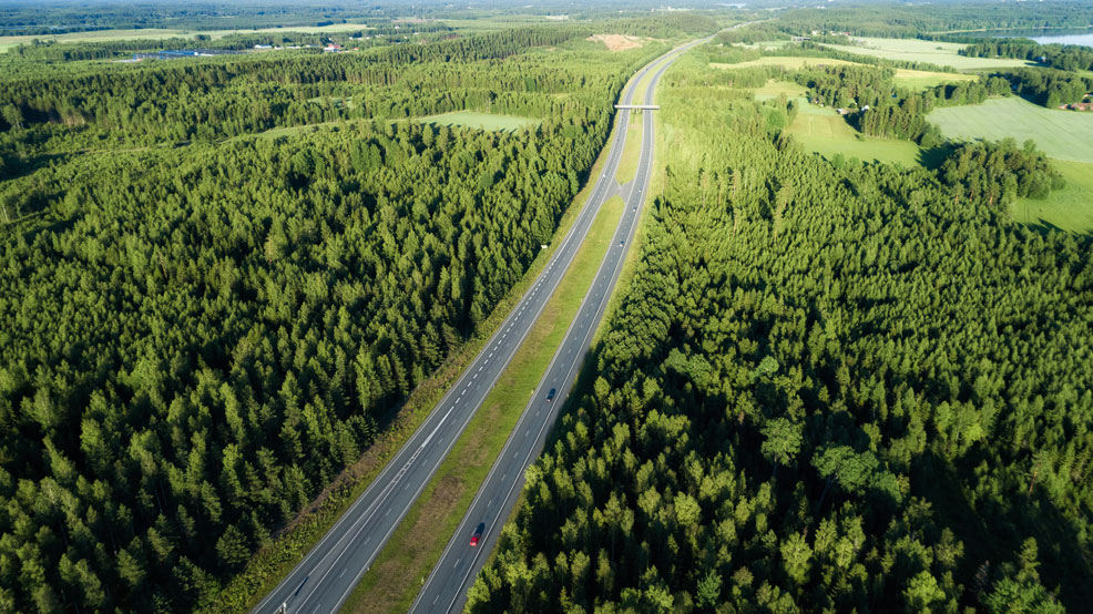 european forest with roads