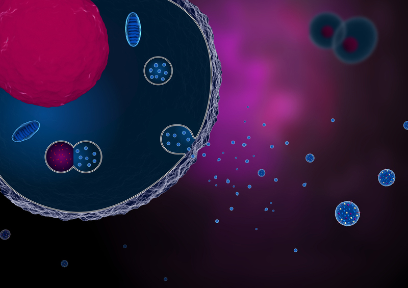 exosomes
